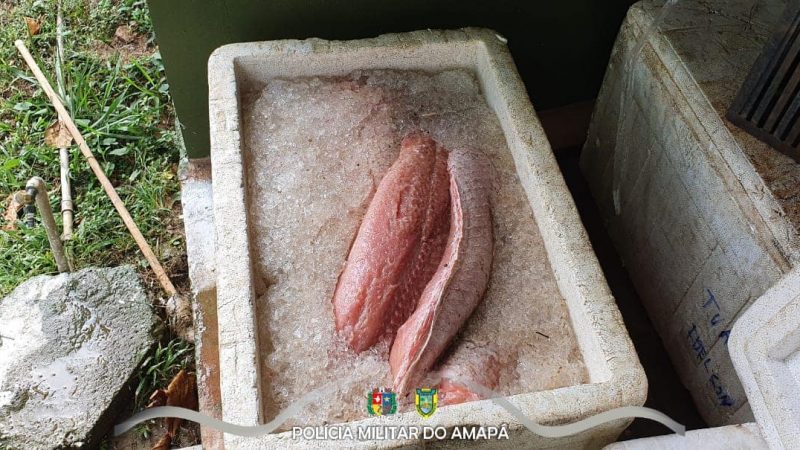 Batalhão Ambiental apreende carne de animais silvestres em Macapá