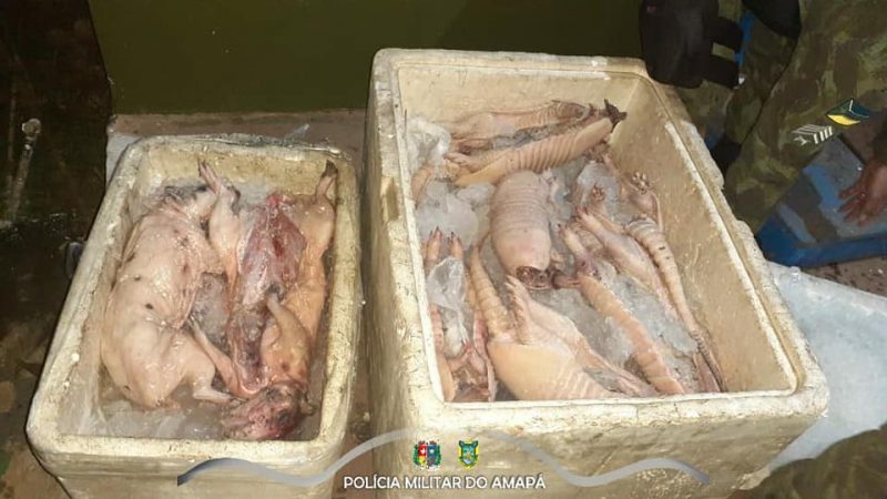 Batalhão Ambiental apreende carne de animais silvestres em barco da linha AP/PA
