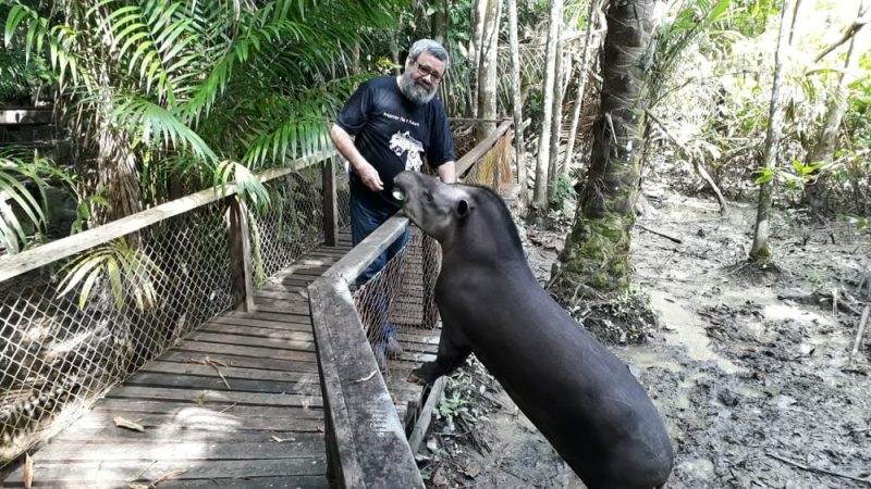 Apagão causa prejuízos a reserva em Santana e ameaça alimentação de animais