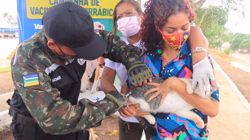 Prefeitura de Santana vacina cães e gatos nesta quarta-feira, 28, contra a raiva animal