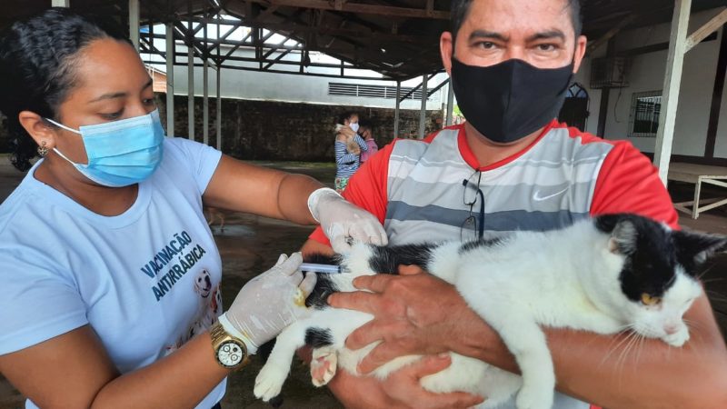 Santana vacina 7.778 animais domésticos na primeira etapa da campanha antirrábica