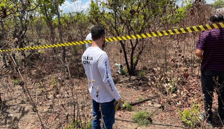 Feto é encontrado numa área de mata no KM-9 em caixa de papelão