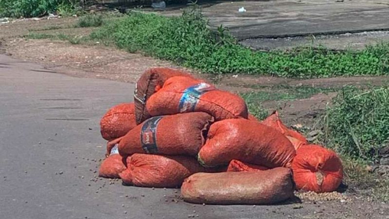 Semop quer identificar “sujão” que anda despejando caroços de açaí em via pública