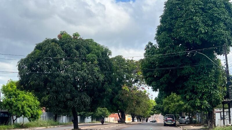 SEMDUH orienta sobre poda e supressão de árvores em área urbana no município de Santana