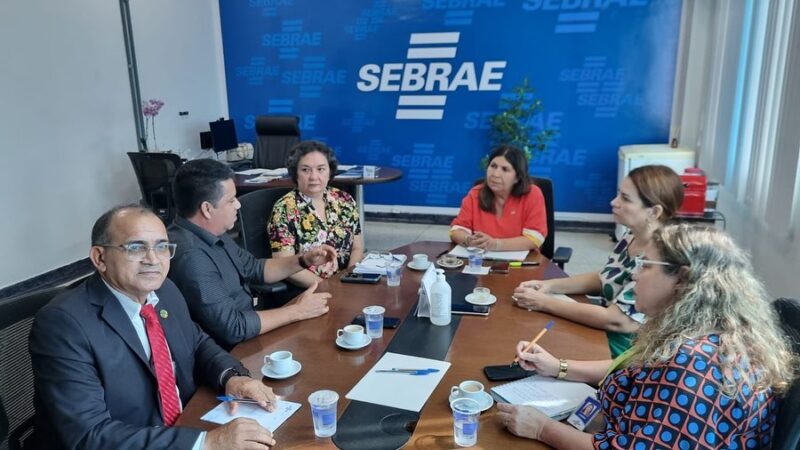 Deputado Paulo Nogueira se reúne com representantes do Sebrae e trata entraves do setor moveleiro no Amapá