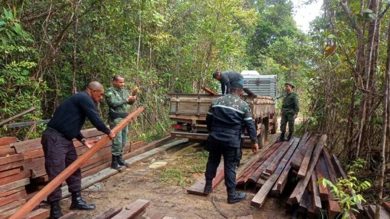Em Santana, Agentes de Fiscalização e Batalhão Ambiental apreendem madeira extraída ilegalmente