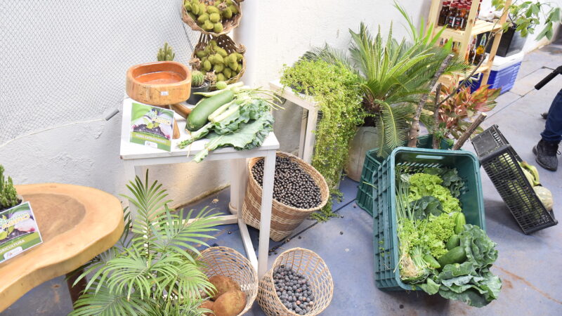 ’Santana Agro’: Programa que impulsiona agricultura familiar é lançado no município