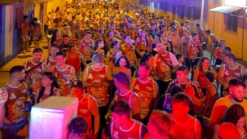 Sucesso no carnaval deste ano, Piscineiro Não Dome já pensa em 2025