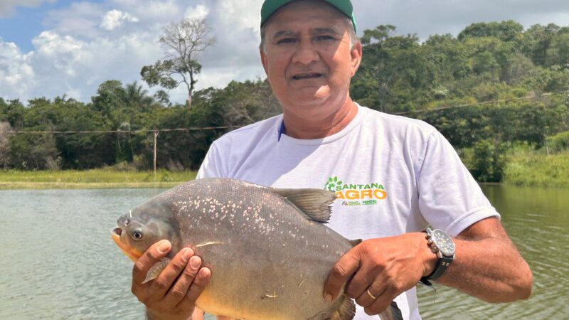 ’Peixe Para Todos’: Prefeitura de Santana oferta pescado com preço reduzido na Semana Santa