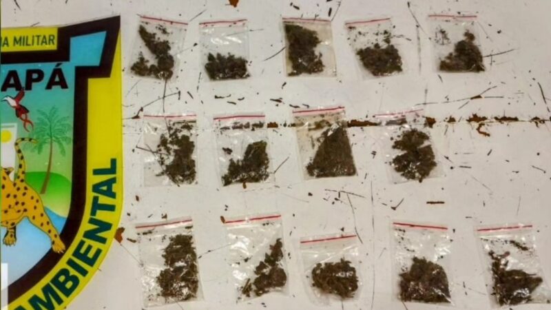 Ação: Batalhão Ambiental estoura ‘Boca de Fumo’ no Infraero II, em Macapá