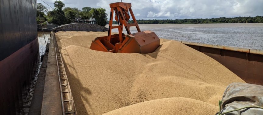 CDSA registra crescimento no embarque de soja no 1ª semestre de 2025 no Porto de Santana