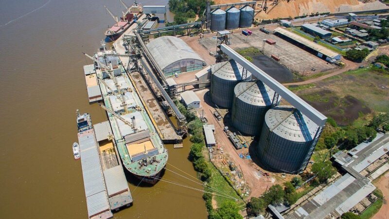 CDSA mantém ritmo de crescimento na exportação de cavaco e pode superar 2024