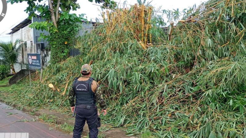 Dia Nacional do Agente de Defesa Ambiental destaca a importância da preservação em Santana