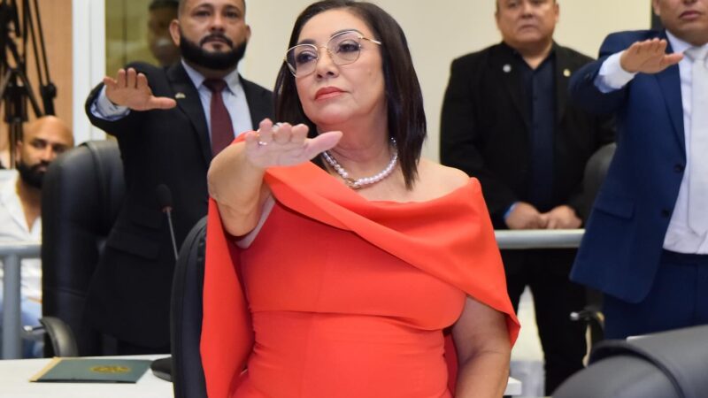 Audiência Pública: Vereadora Helena Lima abre discussão para combater violência contra mulheres