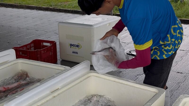 Prefeitura de Santana oferta pescado mais barato na Semana Santa com o programa Peixe Popular