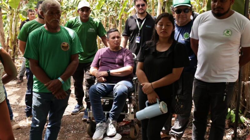 Dia de Campo leva conhecimento e novas técnicas sobre a cultura da banana aos produtores de Pedra Branca